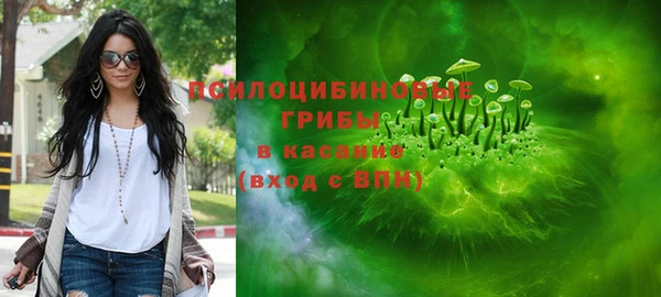 стафф Осинники