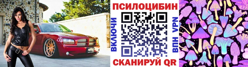 omg tor  Андреаполь  Галлюциногенные грибы Magic Shrooms 