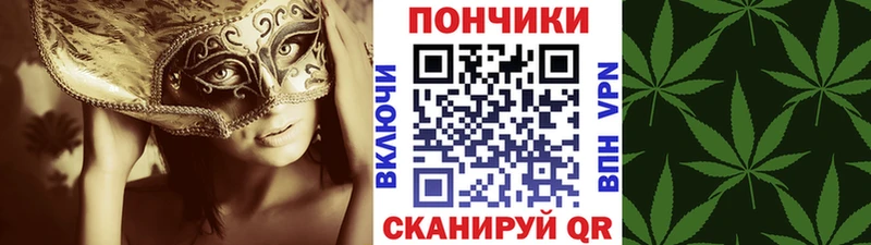 Бошки Шишки MAZAR  цены наркотик  площадка формула  Андреаполь 